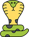 animal_13804374