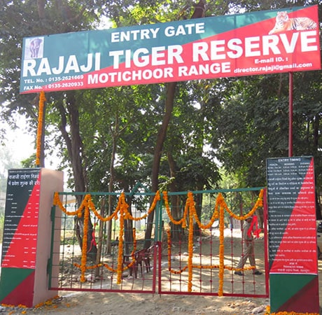 motichur-gate rajaji national park-min